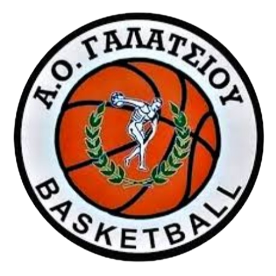 https://img.cszyqc.com/img/basketball/team/99aa3f28c95a20cc802a5f1a5af87719.png